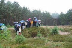 Auch die rätselhaften, mit Abschnittsgräben umgebenen Hügel von Bavendorf sind nur im Regen zu besichtigen