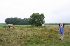 Das Großsteingrab Steinalkenheide bei Badenstedt