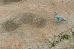 Dinospuren in Obernkirchen