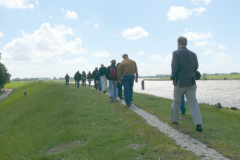 Weg über den Deich