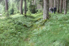 Relikte der Bewässerungssysteme im Brunnenbachtal