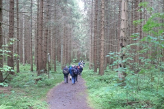 Dann geht es durch den Wald auf dem Welterbeerkenntnisweg