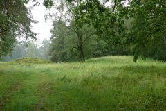 Grabhügelfeld in der Goldbecker Heide