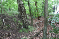 Die Rader Landwehr
