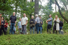 Wallanlage Wickeloh