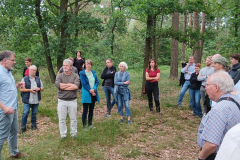 Wallanlage Wickeloh