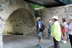 ... mit dem fachmännischen Blick ...