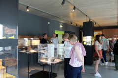im Ausstellungsraum des Museums Schnippenburg