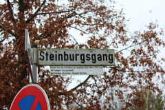 ... die Steinburg